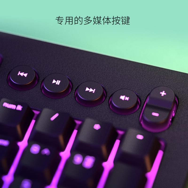 罗技雷蛇Razer雷蛇萨诺狼蛛V2幻彩背光RGB电竞游戏办公键盘鼠标套 - 图3