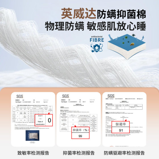Mousse Flagship Store Glue-free Mattress Top Ten Famous Brands Natural Latex Spring Mattress