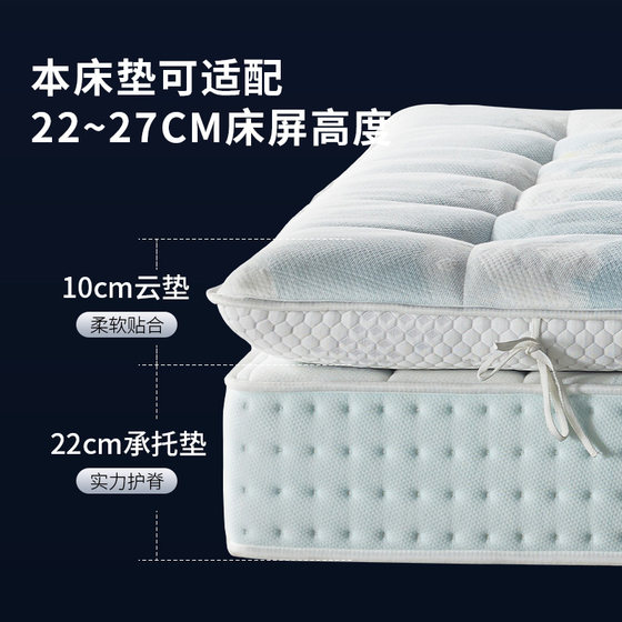 Mousse hand-drawn pattern latex mattress with removable cushion