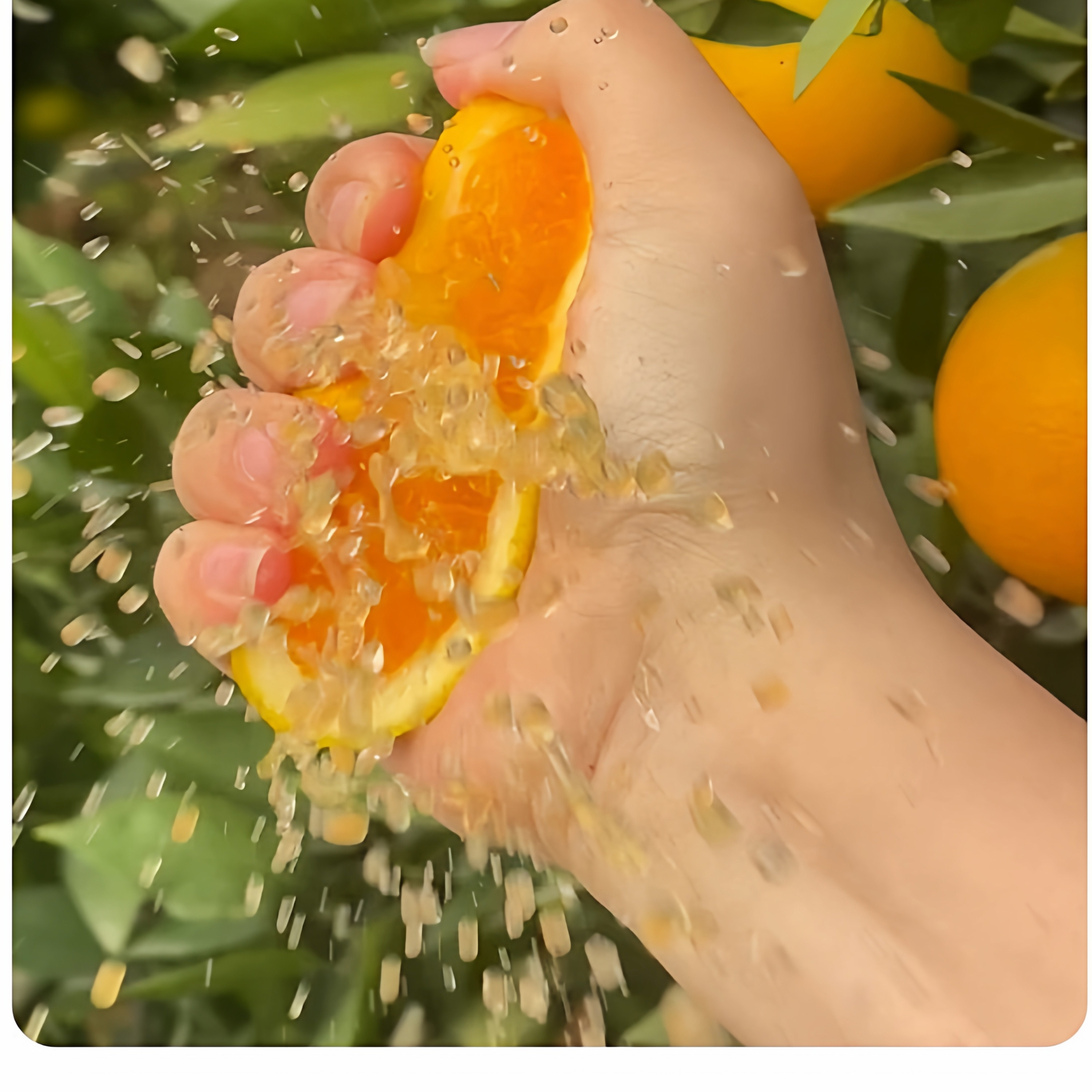 正宗江西赣南信丰脐橙新鲜橙子20斤当季孕妇水果产地果园直发包邮,淘宝优惠券,粉丝福利购,淘宝优惠卷