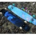 Gappy long board rung động cùng đoạn cá bảy màu ván trượt nam và nữ chuyên nghiệp nhảy ván nhảy ván phẳng hoa - Trượt băng / Trượt / Thể thao mạo hiểm