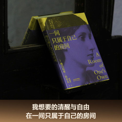 【赠藏书票】一间只属于自己的房间 伍尔夫演讲集 女性主义奠基作品 李银河推荐 独立思考 女性励志 文淇书单 果麦出品 - 图1