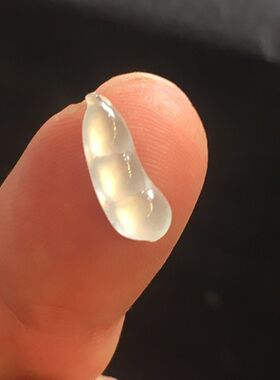 缅甸A货天然翡翠玻璃种福豆裸石蛋面玉戒面保真正品男女款送礼