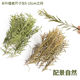 Flowers and grass sand table material model diy scene simulation production waterscape bamboo small trees shrubs vegetation reeds