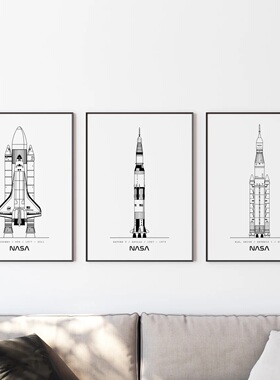 NASASpaceX星舰简约线稿装饰画