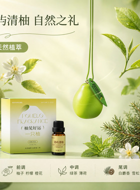 柚子扩香石清新空气创意石膏香挂