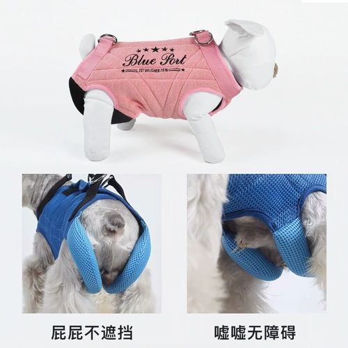 Blueoport пожилая собака из булочек с охраной, чтобы помочь регулируемым собакам с инвалидами.