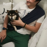 Blueport Pet Light Mesengers маленькая собака Йоркксия из рюкзака Four Seasons Universal Cat and Dog Bag