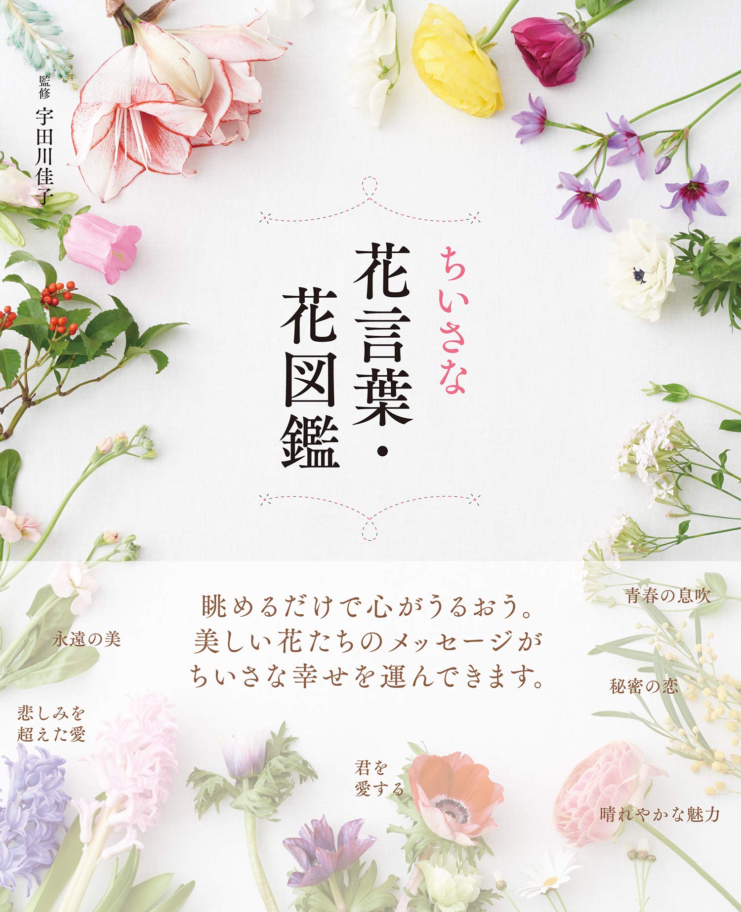 日本花语书推荐品牌 新人首单立减十元 21年6月 淘宝海外