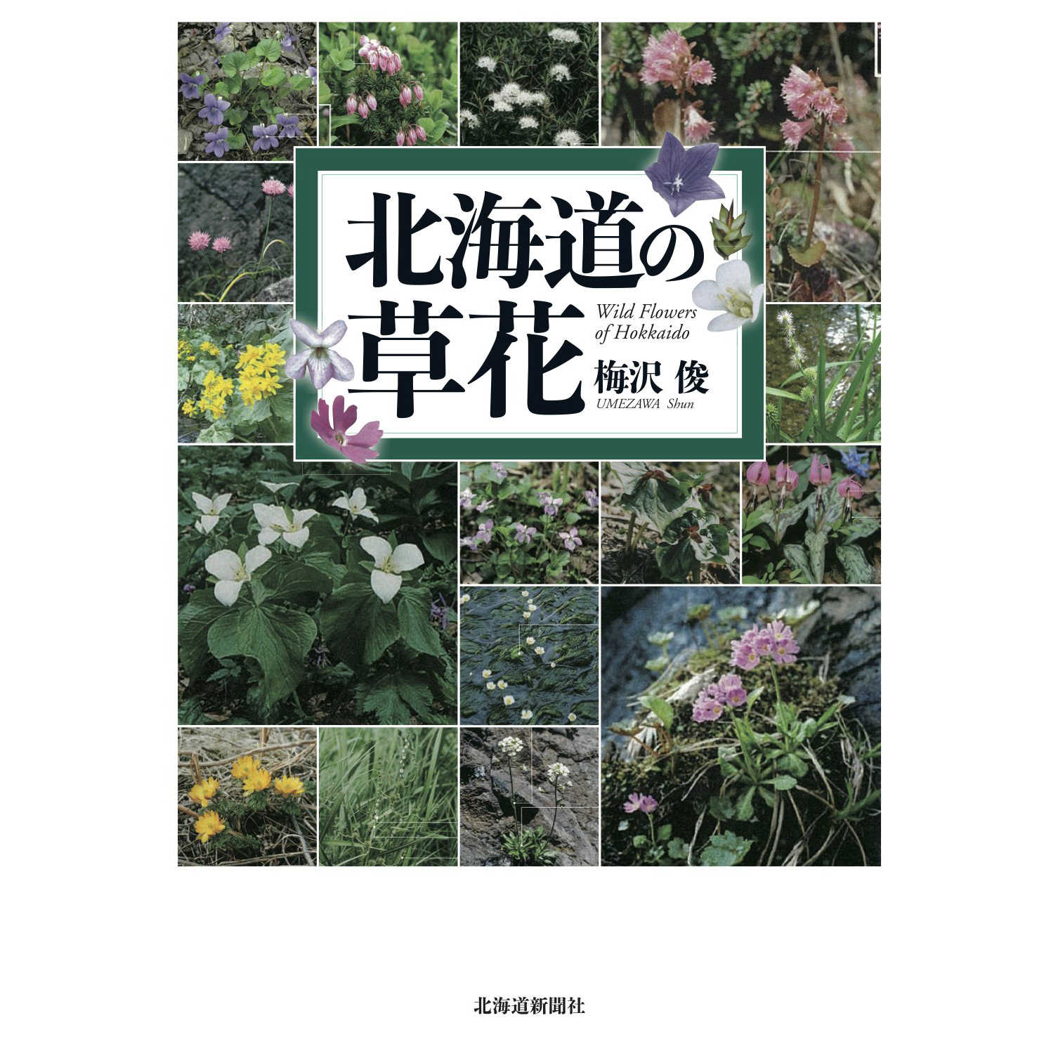 草花植物 新人首单立减十元 21年8月 淘宝海外