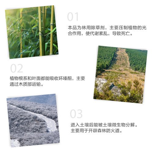 环嗪酮开荒除杂草杂灌木环嗪哃烂根药颗粒剂可撒施烂根除草剂 - 图2