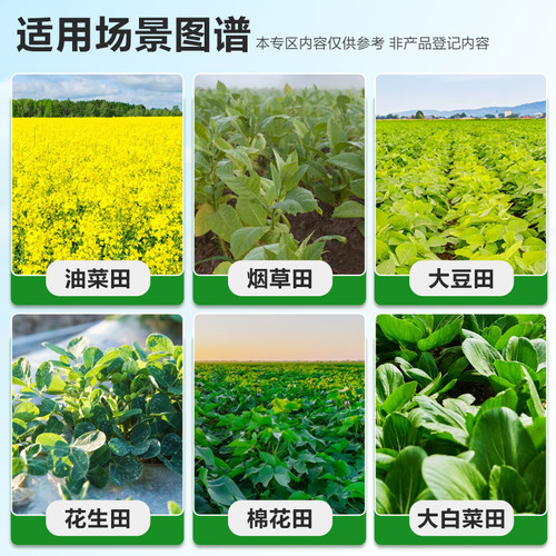 15.8%精喹禾灵油菜田多年生禾本科杂草茅草牛筋草稗草尖叶除草剂 - 图2
