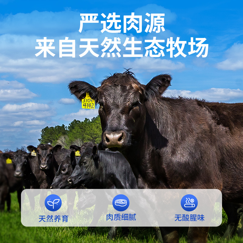 小牛凯西新鲜牛腩进口原切雪花牛肉冷冻商用牛腩肉块生鲜半成品