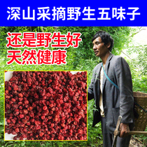 Deep Mountain North Schisandra 500g Chinese herbal medicine Non-wild Five Taste Fruit Wine Powder Fresh Northeast Long White Mountain Brewery Wine