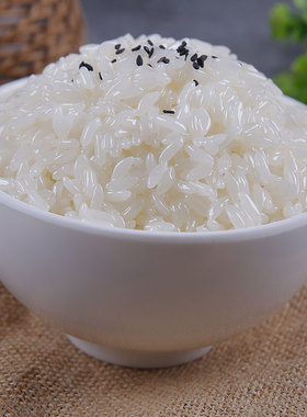 仿真白米饭模型主食假菜影视样品