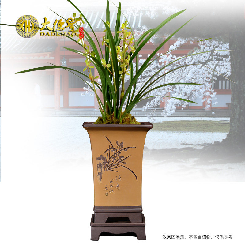 紫砂兰花花盆陶瓷盆栽建兰兰花专用盆高四方形带托盘大号盆景盆_虎窝淘