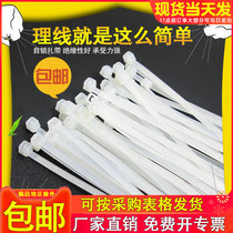 Nylon Tie Beamline With Black High Temperature Resistant Ties White fixed plastic strapping with buckle powerful