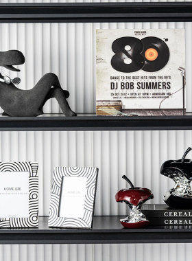 音乐唱片样板房酒柜摆件