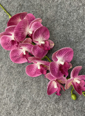 婚庆路引花艺3D9头蝴蝶兰手感兰花仿真花假花 家居人造花装饰摆件