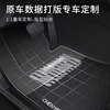 Snowy driver's car floor mats
