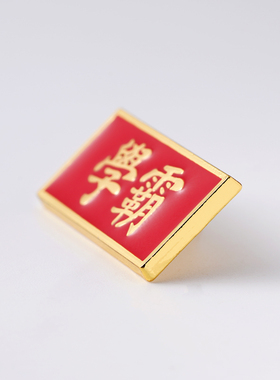 海洛迪金属通用校园奖励徽章胸针