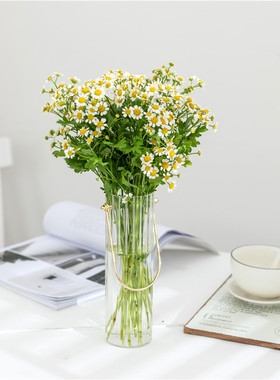日式清新提手玻璃竖条纹垂吊花瓶桌面鲜花水培绿植样壁挂板房软装