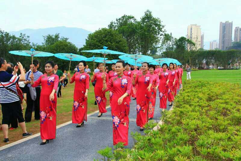 古代舞蹈伞古典伞透明绢纱伞表演伞跳舞伞旗袍走秀演出工艺道具伞