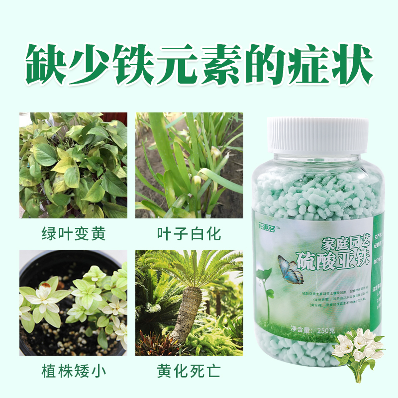 硫酸亚铁花肥料防叶黄栀子花茶花杜鹃通用酸性复合肥颗粒调节ph用-图0