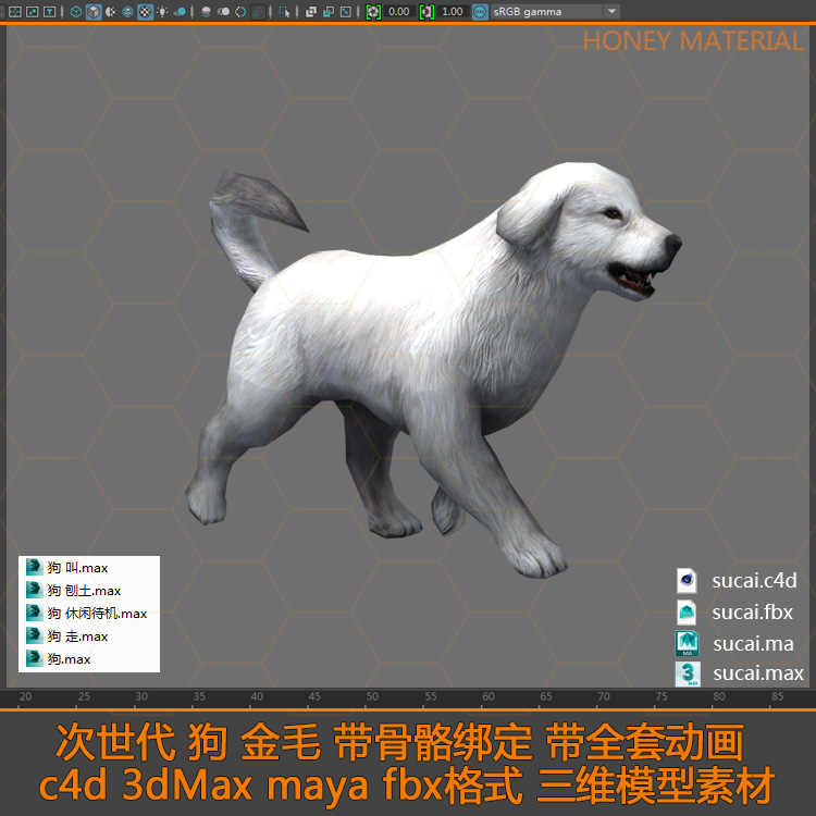犬骨架模型 Top 100件犬骨架模型 22年11月更新 Taobao