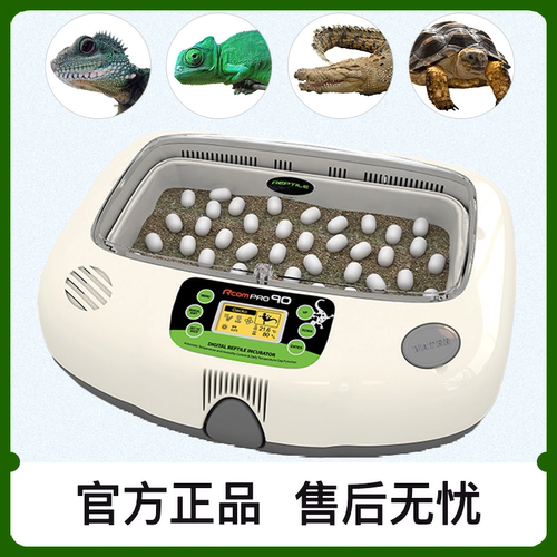 小型龟蛋全自动孵化器蜥蜴孵蛋器韩国RCOM黄缘窄桥金头闭壳孵蛋 - 图0