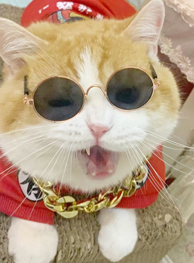宠物猫眼镜猫咪墨镜复古