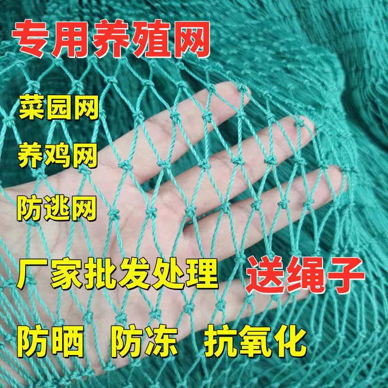养鸡网养殖网拦鸡鸭网防鸟网隔断爬藤网菜园围网果园网护栏网天网,淘宝优惠券,粉丝福利购,淘宝优惠卷
