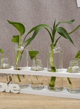 速发水培植物玻璃花瓶家花小清新插居摆件装饰品客厅透明绿萝容器