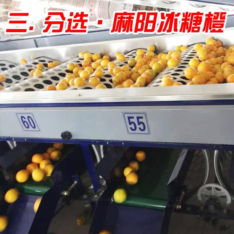 湖南麻阳冰糖橙正宗新鲜水果包邮薄皮榨汁当季果冻5现摘9斤甜橙子,淘宝优惠券,粉丝福利购,淘宝优惠卷