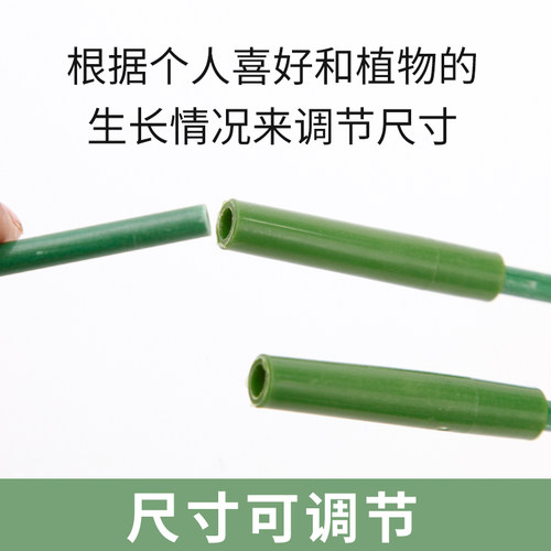 爬藤花架圆柱园艺支架阳台绿萝月季藤本植物攀爬铁艺支柱撑蟹爪兰 - 图0