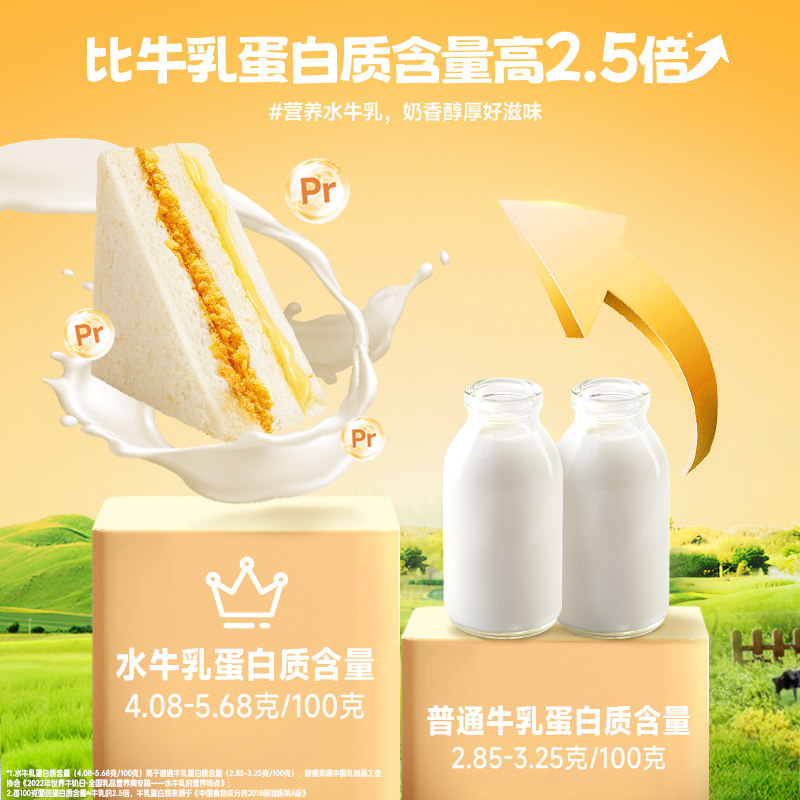 比比赞水牛乳肉松三明治面包早餐整箱健康无边吐司下午茶休闲零食