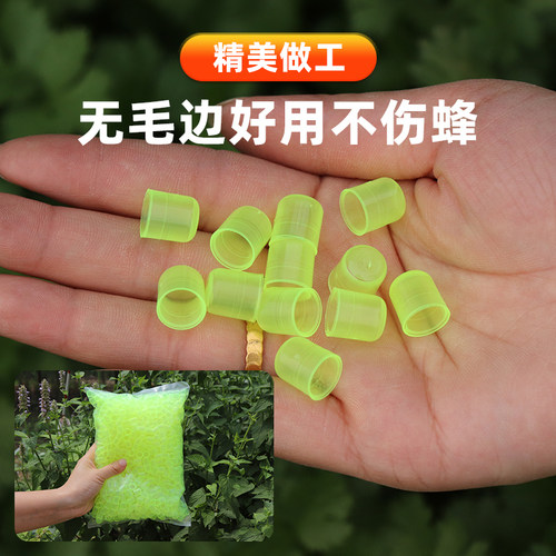 蜜蜂育王台基意蜂专用塑料单个育王台杯人工培育蜂王蜡碗养蜂工具 - 图2