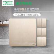 Schneider Electric Chankin Single Affiliate Duplex Triple Self Reset Switch Doorbell Access smart home