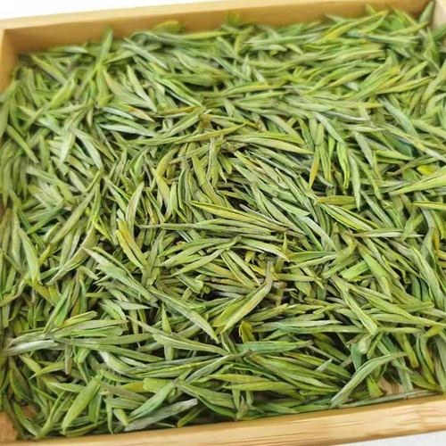 2024新茶安吉白茶250g春茶绿茶珍稀散装明前特级正宗高山茶叶浓香