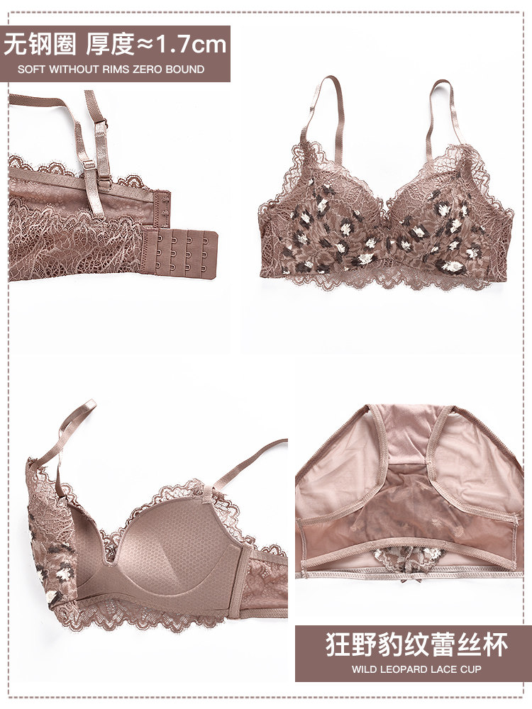 气质女王蕾丝豹纹性感小无钢圈胸罩 兰仪贝芬文胸