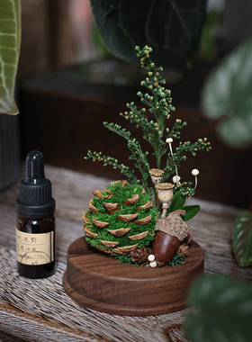 种籽造物青松生活每一天香薰礼盒