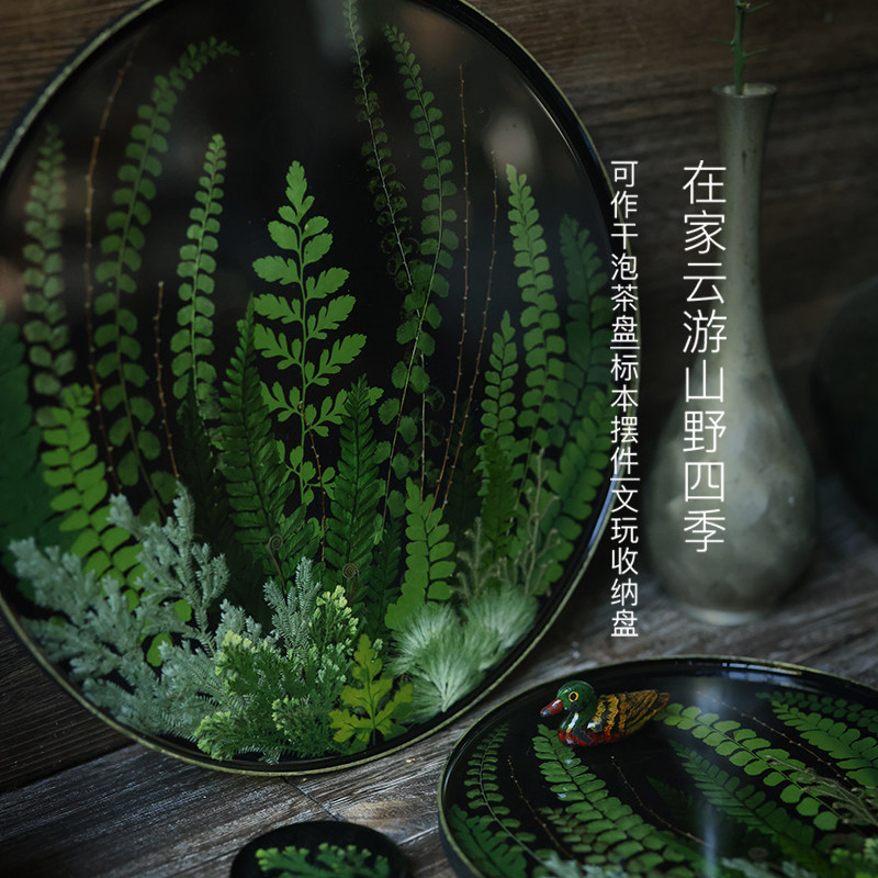 种籽造物漆息植物标本手作大漆茶盘非遗手工托盘摆件礼盒漆器礼物,淘宝优惠券,粉丝福利购,淘宝优惠卷