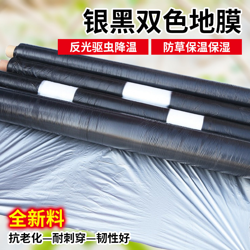 新料农用地膜加厚银黑双色果园反光膜蔬菜大棚种植膜除草防虫直销,淘宝优惠券,粉丝福利购,淘宝优惠卷