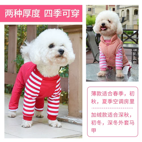 Тедди собачья одежда Осенняя одежда Зимняя одежда четвероногой интернет-знаменитость питомца лето тонкая биби маленькая собака щенка