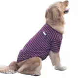 Тедди собачья одежда Биболи маленькая собачья кошка осень и зимние домашние щенки, чтобы предотвратить потерю весенней и осенней одежды Мао и осенней одежды