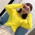 Áo xuân 2019 mới thắt lưng cổ chữ V ngắn tay áo len nước dài tay áo len nữ sinh hippocampus len - Đan Cardigan cardigan nữ Đan Cardigan
