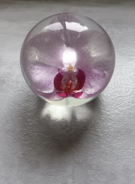 蝴蝶兰鲜花标本树脂水晶圆球摆件