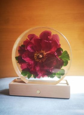 洛阳牡丹芍药鲜花标本夜灯保鲜花水晶球文化礼品摆件书房家居装饰