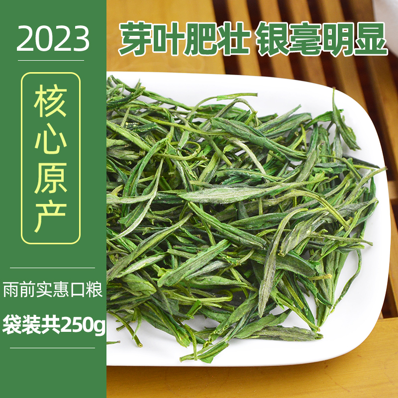 绿茶2024新茶叶黄山毛峰250g雨前茶春茶都匀高山茶毛尖茶散装袋装 - 图0