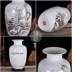 Jingdezhen gốm sứ nhỏ bình trang trí phòng khách cắm hoa khô hoa mới Trung Quốc trang trí nội thất TV tủ thủ công - Trang trí nội thất